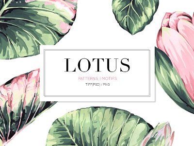 Lotus art design florals handpainted illustration patterns prints seamless textiles watercolor