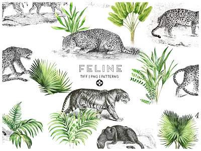 Feline art design florals illustration patterns prints seamless textiles watercolor