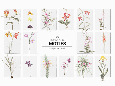 botanical art design fabric florals illustration patterns prints seamless textiles watercolor