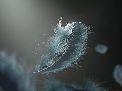 Feathery Business ae animation c4d motion redshift3d