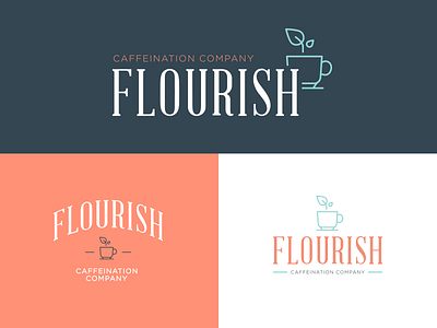 Flourish Logo Mockups brand branding bright colors design exploration icon identity logo visual