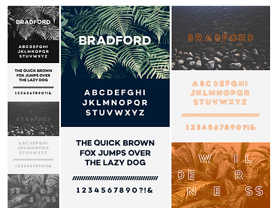 Bradford Typeface custom design display font graphic typeface