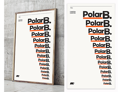 PolarB animal branding design graphic identity logo polar