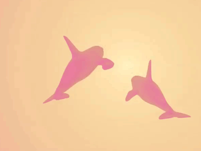 Dolphins 3d animation c4d design dolphin gif loop motion motion graphics visual design