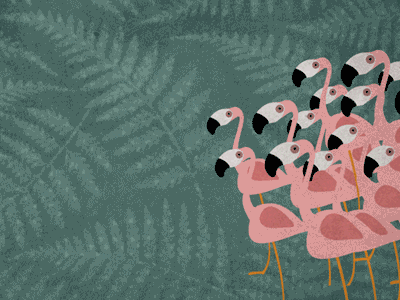 Flamingos Love Dance after effects animation flamingo gif illustration motion motion graphics pink vector visual design