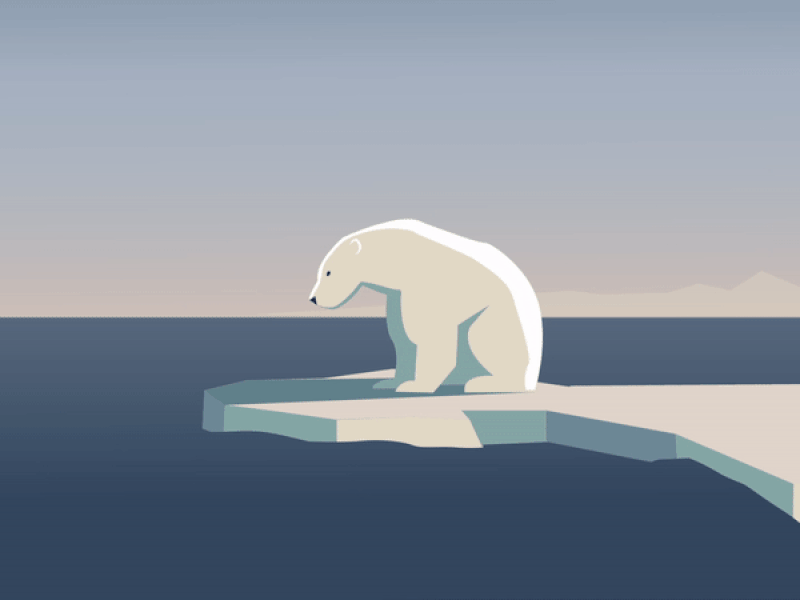 Polar Bear animation animation bear design effects graphic design motion polar storm