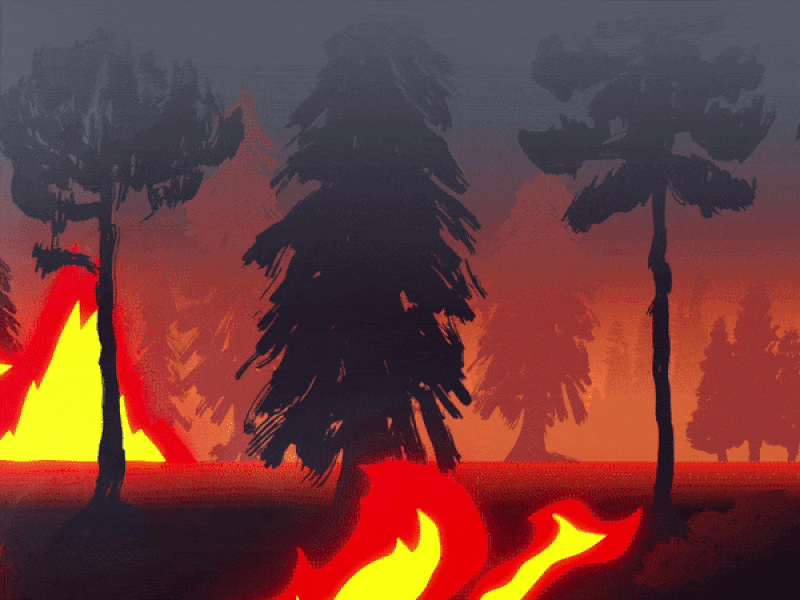 Forest Fire animation by Alex Grzybowska on Dribbble