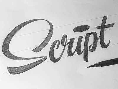 Script 2 lettering letters script sign painter typo typography