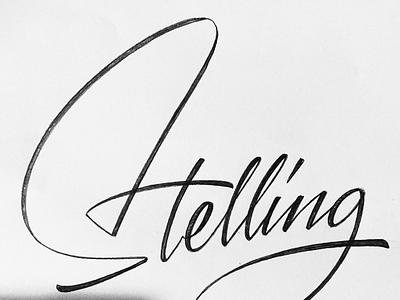 Stelling handcraft handlettering handmade lettering logo script sign painter type typography