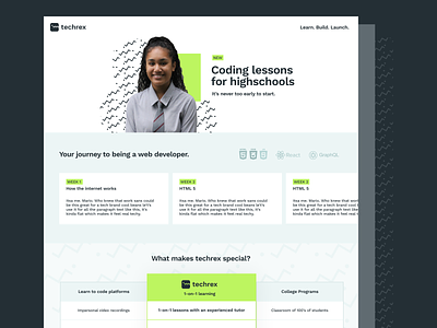 Techrex Schools Page coding dinosaur ui website