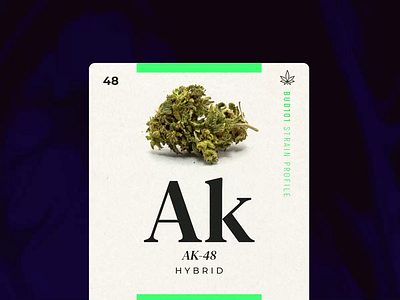 Cannabis Strain Profile Card - AK-48 cannabis card design free throw instagram marijuana socialmedia ui ux