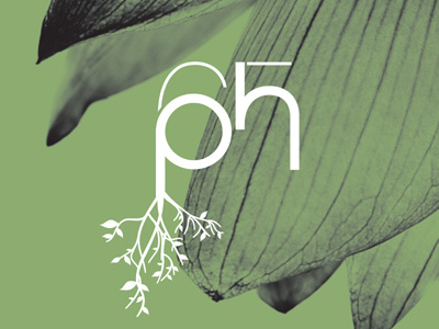 PH65 agency eco friendly fashion green retail