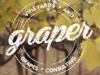 graper - vineyards and grapes consulting brand grapes graphic identity italy logo vineyards