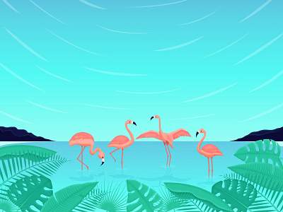 Flamingo flamingo illustration