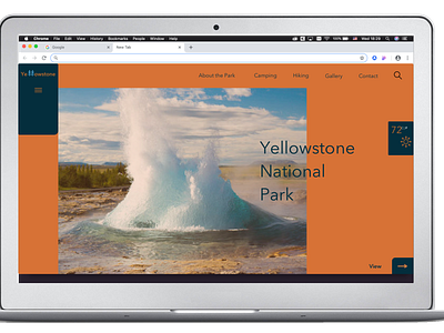 Yellowstone project dailyui design landing page uidesign uiux
