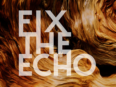 Fix The Echo anankor sans type typography