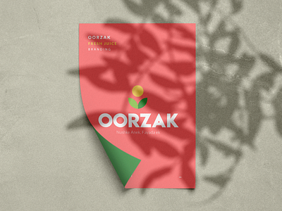 OORZAK - Branding Project branding design illustration logo presentation vector