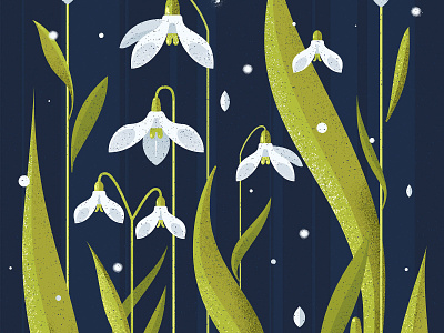 Snowflower blue design flowers green illustration leaves plants snowdrop texture vector