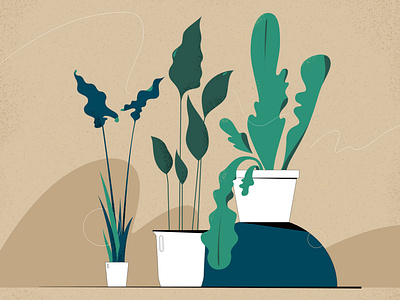 Houseplants botanical design flowers green home illustration plants vector