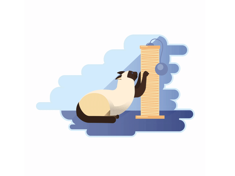 Cat Scratching Its Claws by Nadira Filatova on Dribbble