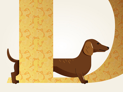 D Is For Dachshund