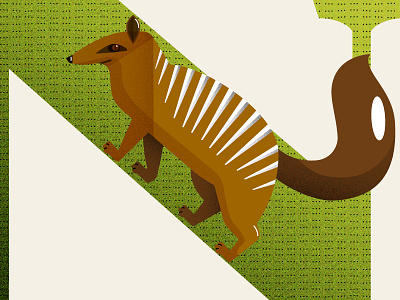 Numbat 36 days of type animals illustration vector