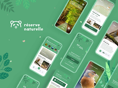 La Réserve Naturelle - Application animals app bear bird colors green leaf margot collavini mobile nature nature illustration nature logo ui ux