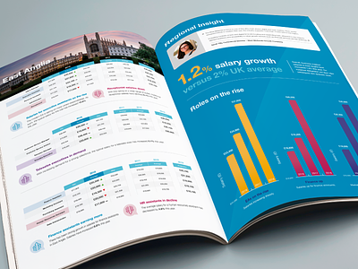 Brochure Design brochure cmyk colour data design insight magazine spreads visualisation