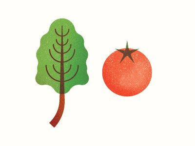 Vegetables chard food illustration tomato vegetable