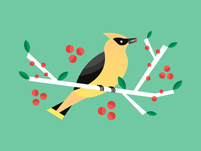 Cedar Waxwing berries bird branch cedar waxwing illustration leaves modern