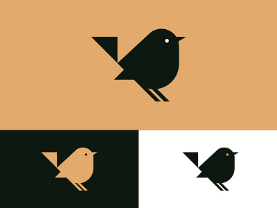 Bird bird birds design illustration logo