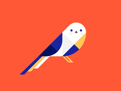 Birdy bird design geometry illustration