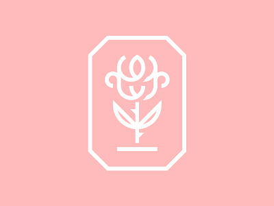 Rose branding design flower icon illustration logo rose