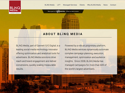 Website for BLiNQ Media css html ui ux website