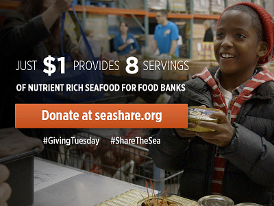 Giving Tuesday : SeaShare charity givingtuesday good cause seashare sharethesea