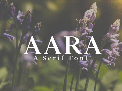 Free Aara Serif Regular Font album font branding font classic font clean font cover font display font editorial font handwritten logo serif font