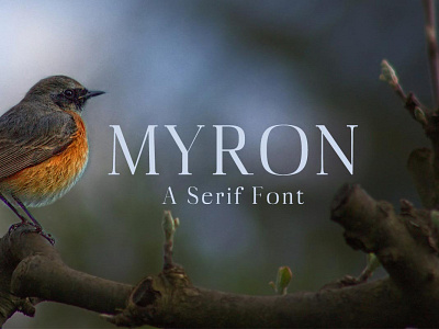 Free Myron Serif Font