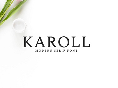 Free Karoll Serif Font classic font clean font display font elegant font logo font modern font serif font text font trendy font typography font