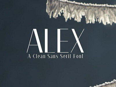 Free Alex Fashion Font