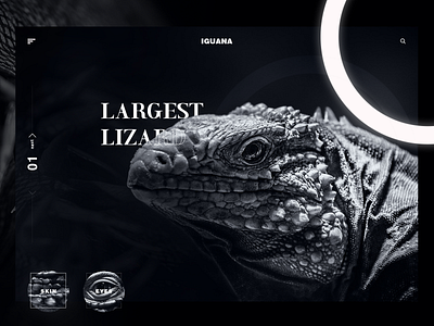 IGUANA black and white black ui bw bw ui clean design flat iguana iguana ui interaction lizard lizard ui minimal ui web web design