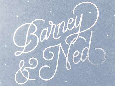 Barney & Ned baby barney blue boy calligraphy foil handlettering lettering ned poster silver twins