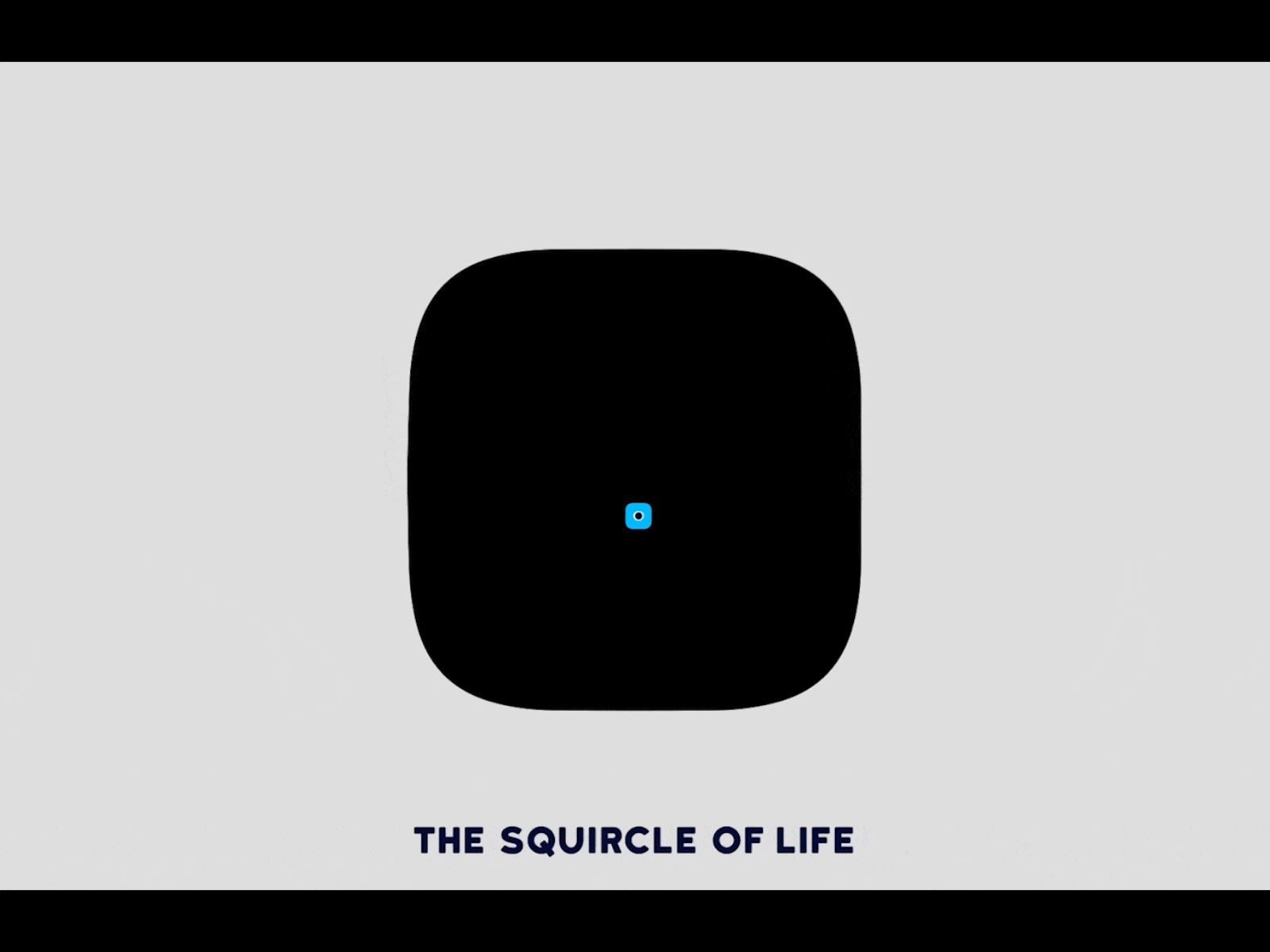 The Squircle of Life 2d animation after effects character animation glasgow loop mograph motion design squircle