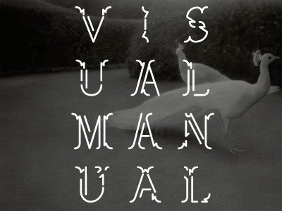 Visual Manual - custom lettering and design drugs lettering lines manual on paper rocknroll so typeface visual