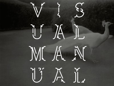 Visual Manual - custom lettering