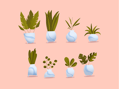 Plants