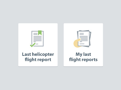 Flight report icons