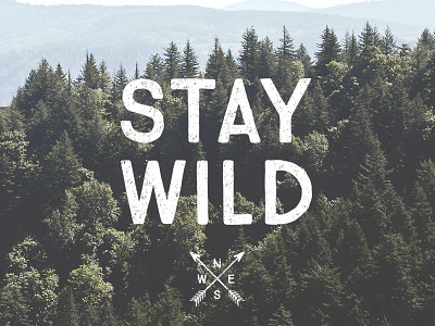 Stay Wild adventure brand marketing graphic design society6 stay wild travel often typography wild