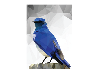 Elegant of a bird animals animate bird design everyday illustraion people vector