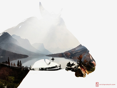 WILD Digital Exposure Series animal double dslr exposure horse mountains multiple nature photo photography wild wildlife