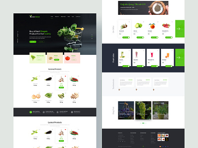 Oomato Market Organic Store Psd Template animation app design flat food fruit website icon illustration invite me landing logo madbrains oomato market organic store psd psd template typography vector web website website design